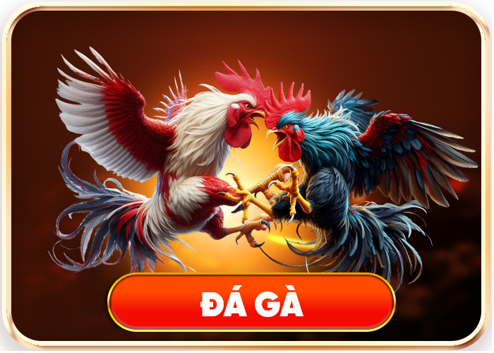 Đá gà U888 cực hấp dẫn